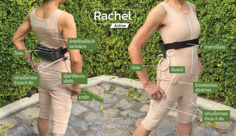 ชุด Rachel