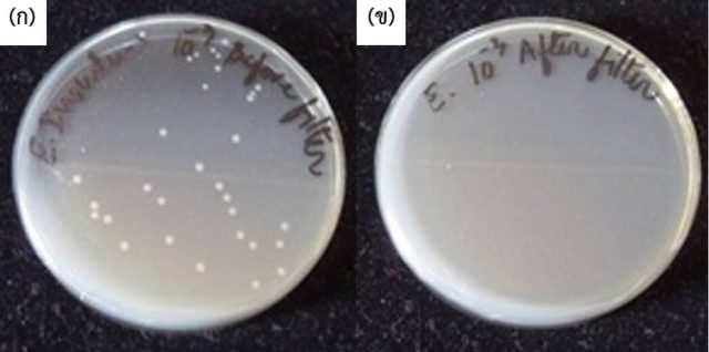 Bac-before-after Bac-before-after