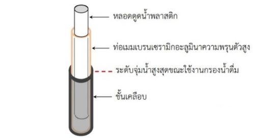CeramicStraw (1) CeramicStraw (1)